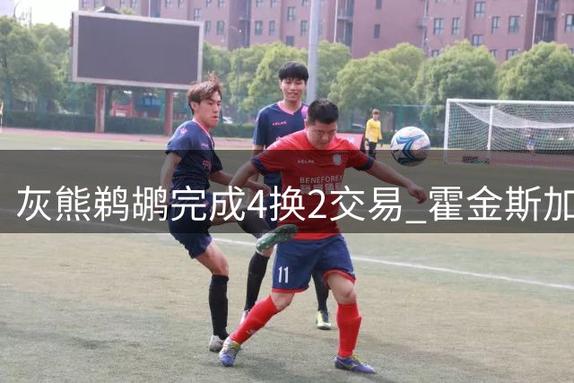 灰熊鹈鹕完成4换2交易 霍金斯加盟孟菲斯